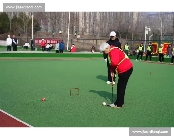 柳源门球比赛精彩回顾 球员激烈对抗展现超凡技艺